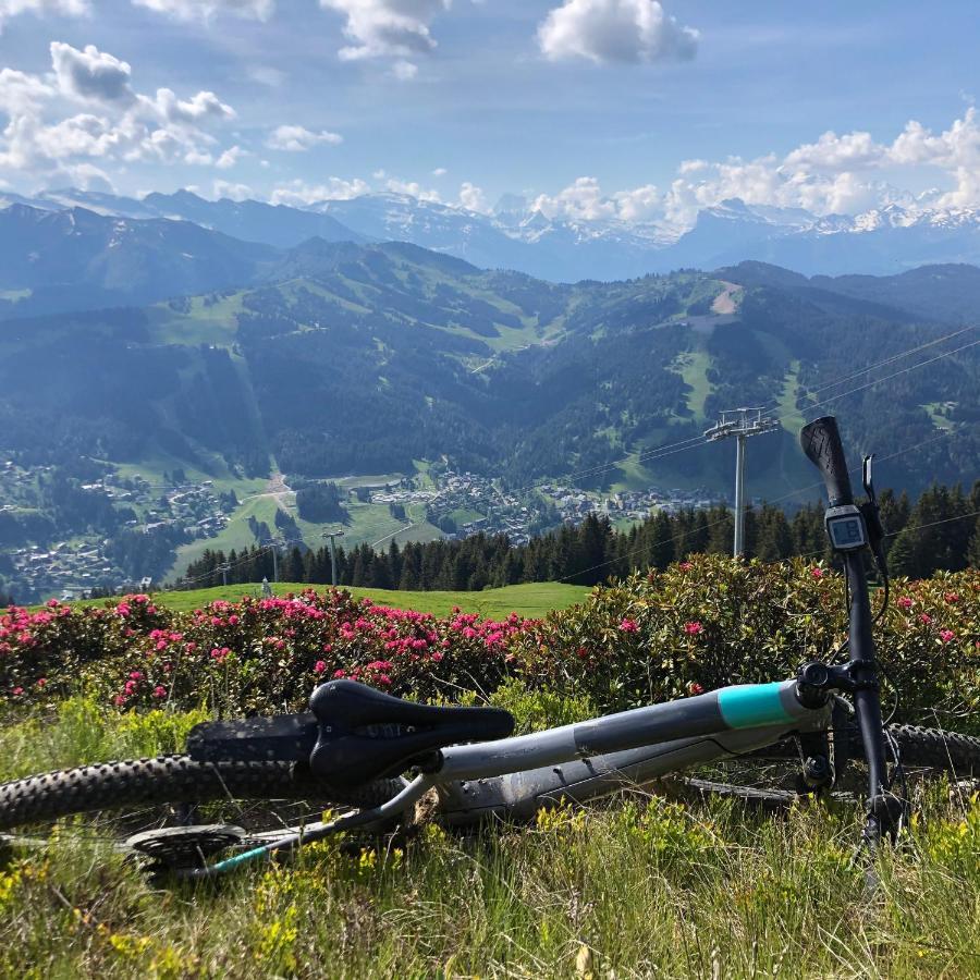 'Petite Ferme Les Bouts' Apartment, Sleeps 6, Nr Morzine La Cote d'Arbroz Luaran gambar